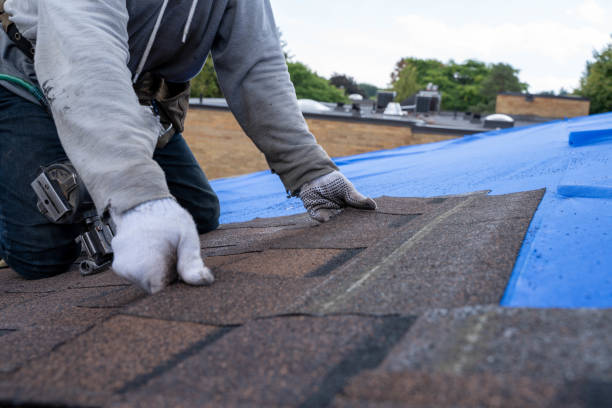 Roof Coating Services in Denver, IA